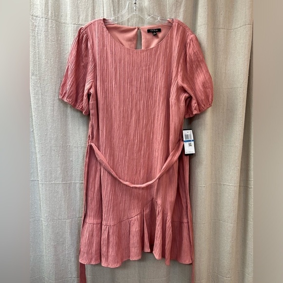 City Studio/ NWT/  Woman’s Juniors Crinkled Short Sleeves Fit & Flare Dress/ XL - Picture 2 of 15